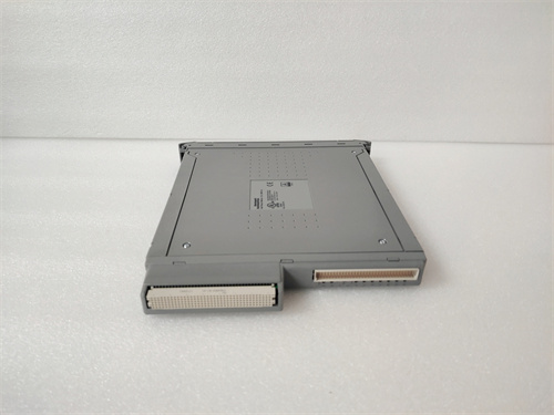 ICS TRIPLEX T8431 — изображение 3