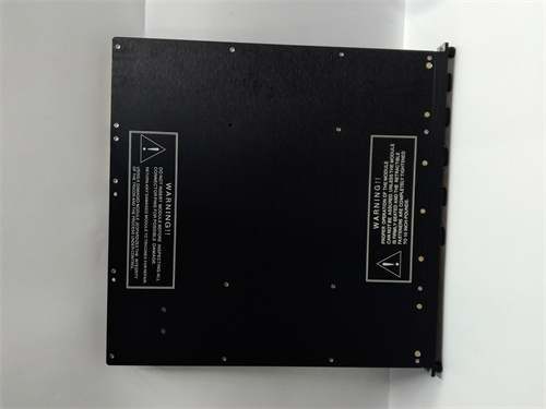 TRICONEX 4351B — изображение 2