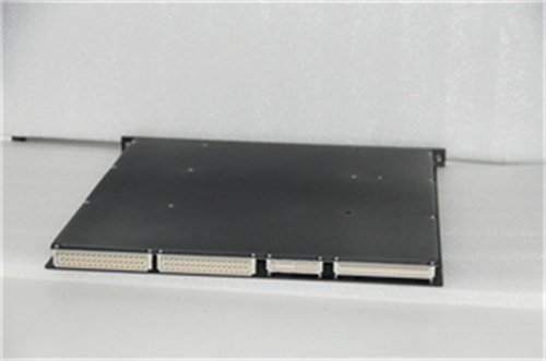 TRICONEX 3700A — изображение 2