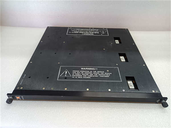 TRICONEX 3704E — изображение 3