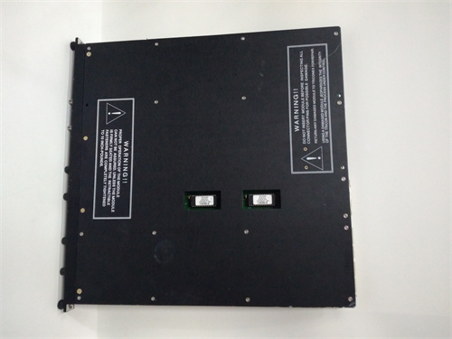 TRICONEX 4210 — изображение 2