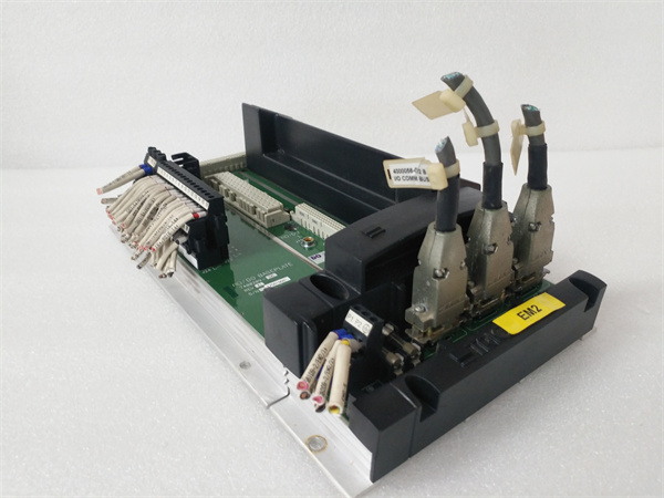 TRICONEX 2401 — изображение 2