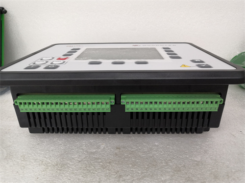 woodward EASYGEN 3200 — изображение 2