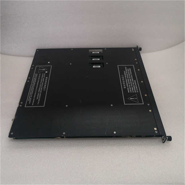 TRICONEX 3503E — изображение 3