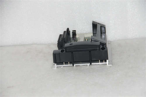 TRICONEX+DO2401 7400209-030 — изображение 3