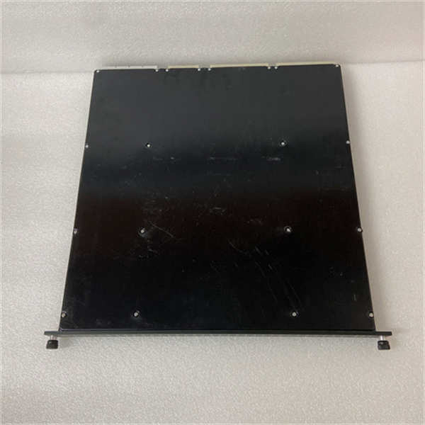 Triconex 3503E — изображение 3