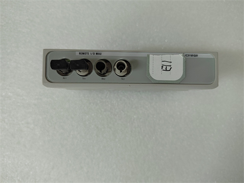 EMERSON+1C31181G01 — изображение 3