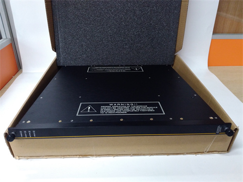 TRICONEX3721 — изображение 2