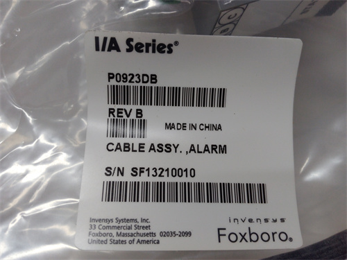 FOXBORO P0923DB — изображение 3