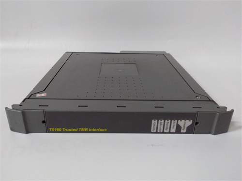 ICS TRIPLEX T8160 — изображение 4