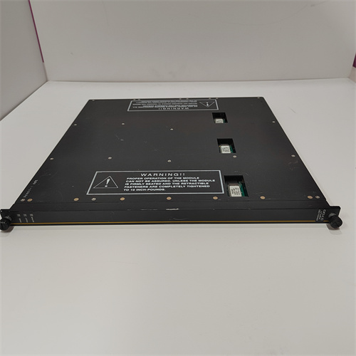 TRICONEX3700 — изображение 3