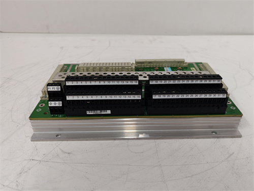 TRICONEX DI2301 7400208-020 — изображение 4