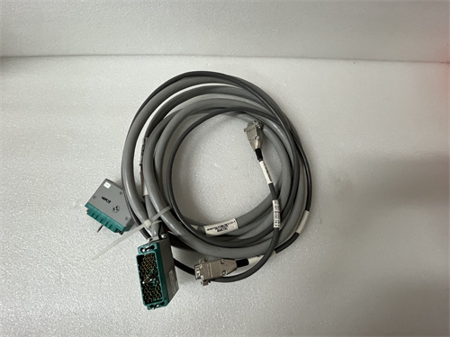 TRICONEX 4000093-310