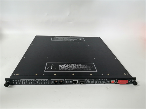 TRICONEX 3004 — изображение 3