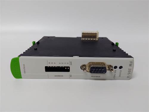 BACHMAN FM221 — изображение 2