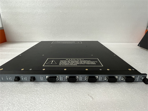 TRICONEX 3000656-210C1R — изображение 3