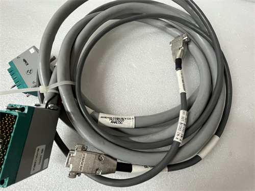 TRICONEX 4000093-310 — изображение 4