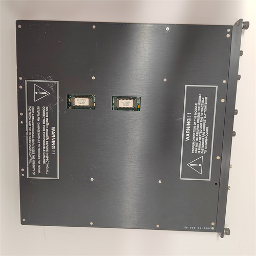 TRICONEX 4200 — изображение 3