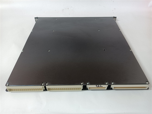 TRICONEX 3503F — изображение 2