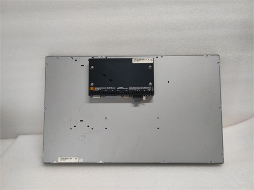 B&R DS100 2DS100.60-1