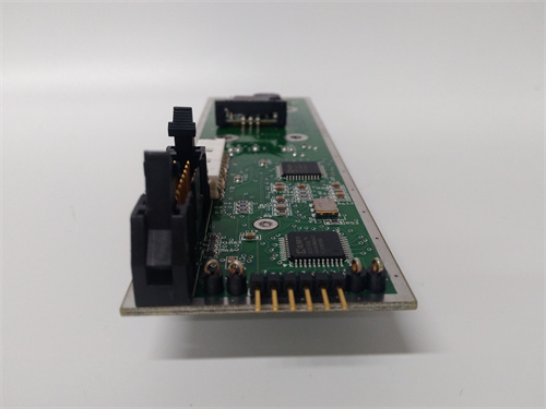 TSS DMS-RP30 — изображение 3