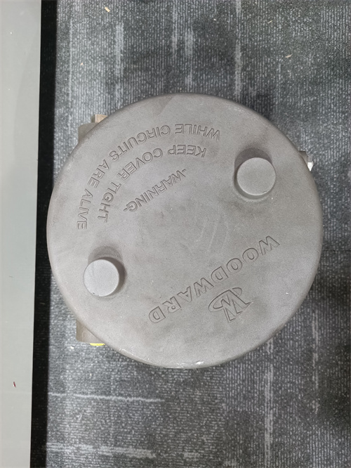 WOODWARD EM-300 — изображение 3