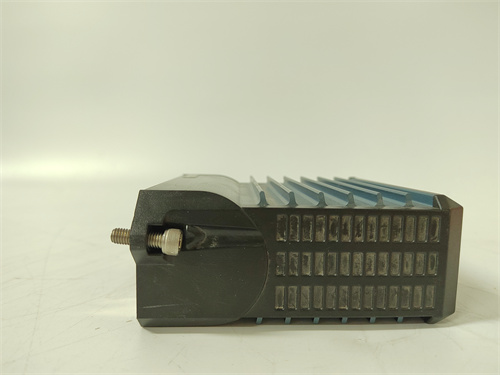 FOXBORO P0500GN — изображение 2