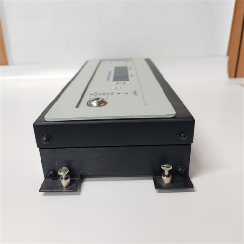 TRICONEX 1600071-001 — изображение 4