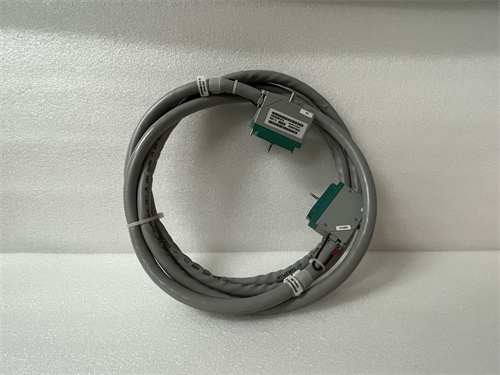 TRICONEX 4000093-306 — изображение 4