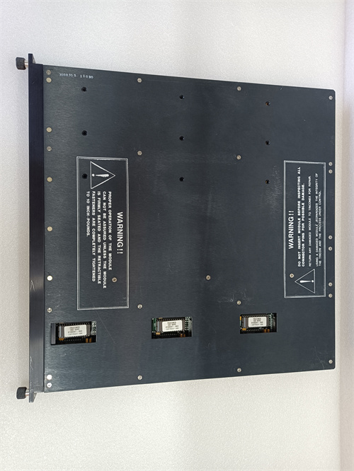 TRICONEX DI2301 — изображение 4