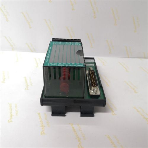 FOXBORO P0400VR — изображение 3