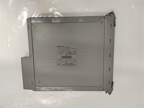 ICS TRIPLEX T8480 — изображение 3