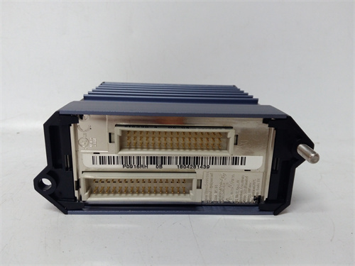 FOXBORO FBM219 — изображение 3