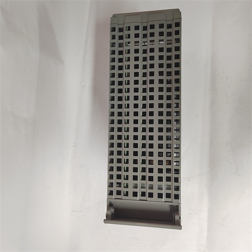 ICS TRIPLEX T8442C — изображение 3