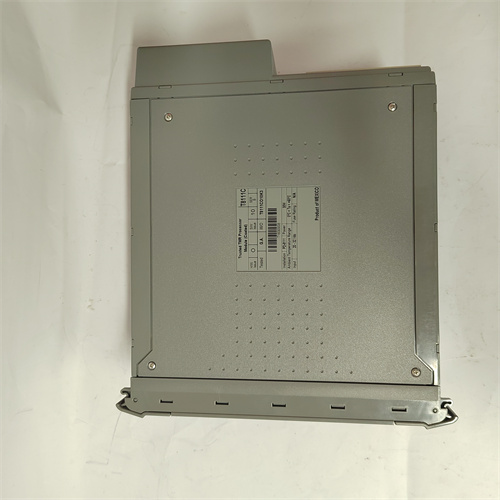 ICS TRIPLEX T8442C