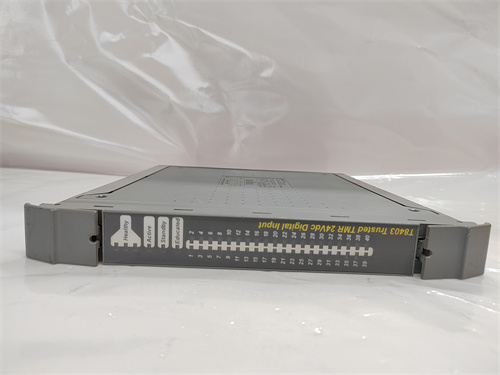 ICS TRIPLEX T8480