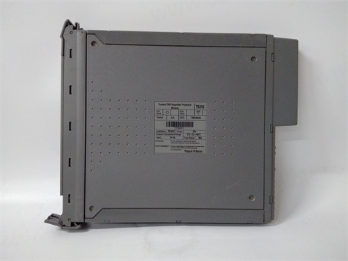 ICS TRIPLEX T8293 — изображение 3