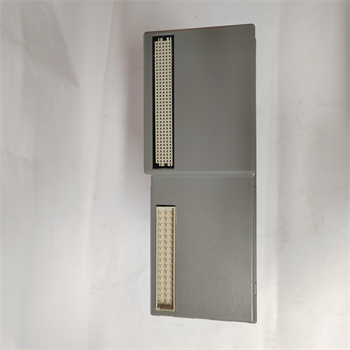 ICS TRIPLEX T8442C — изображение 4