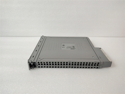 ICS TRIPLEX T8451C — изображение 3