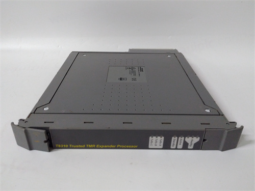 ICS TRIPLEX T8293 — изображение 4