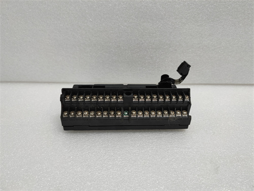 GE IC670CHS101 — изображение 3